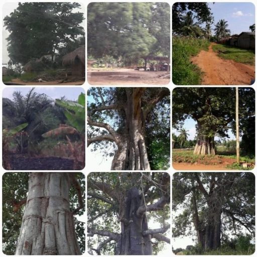 savanature-a-propos-2