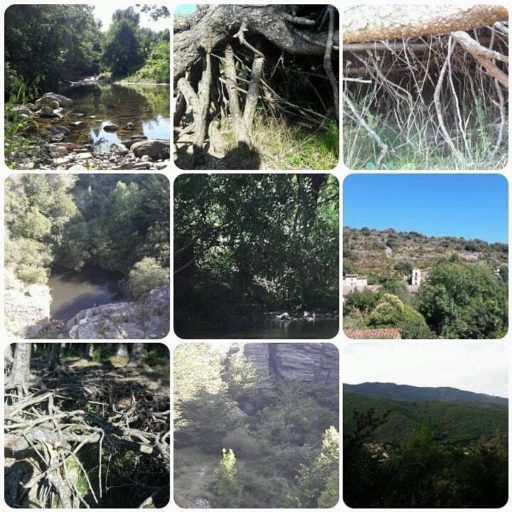 savanature-a-propos-3