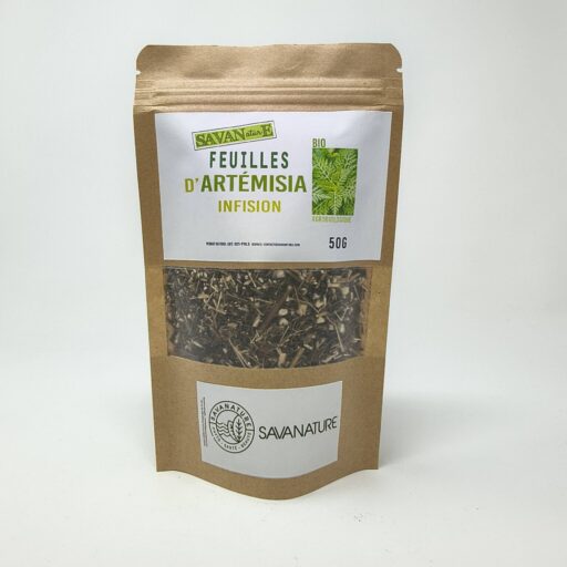 Feuilles d'Artemisia