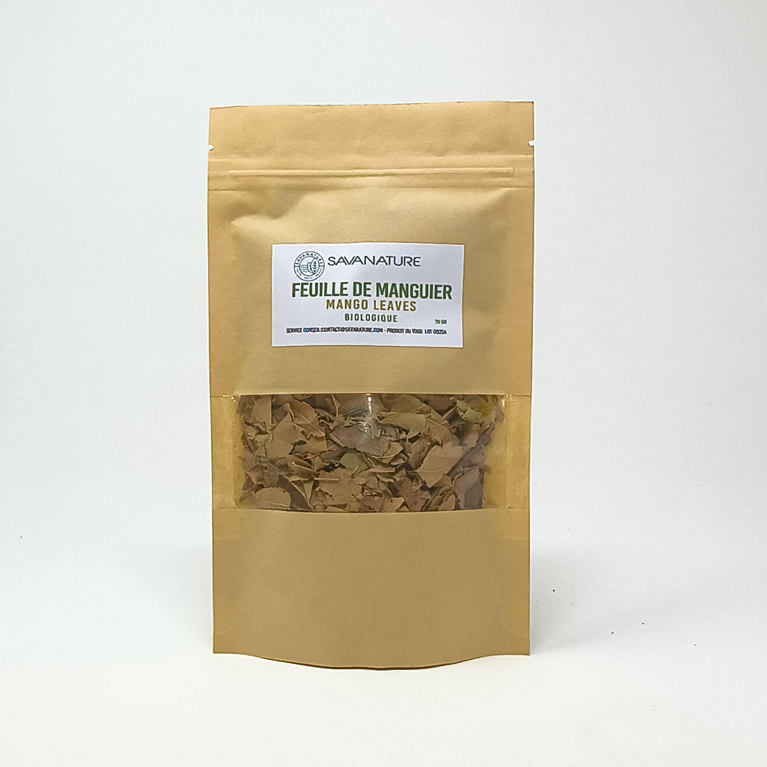 MANGUIER 1 mango tree 1