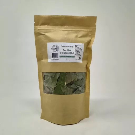 Dried eucalyptus leaves